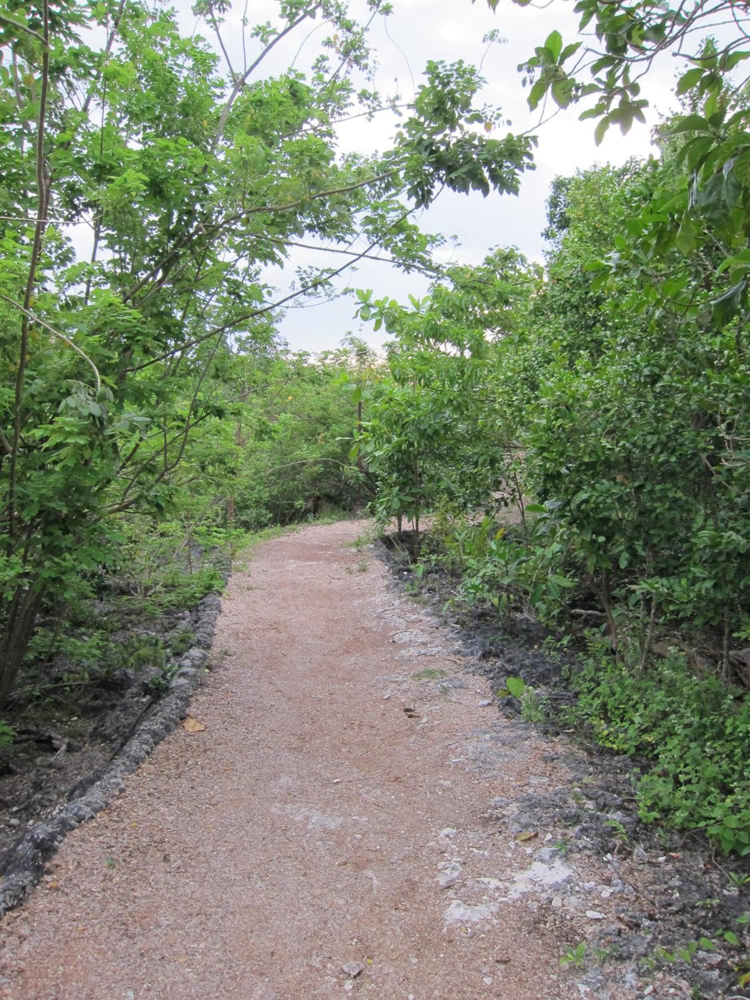 Eskapo Verde Lodge Moalboal Badian Ngoại thất bức ảnh
